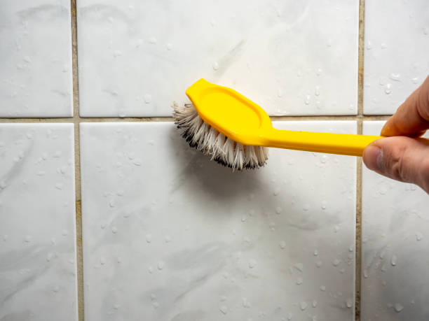 Best DIY Mold Remediation Support Services in Woodland, CA