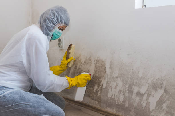 HVAC Mold Remediation